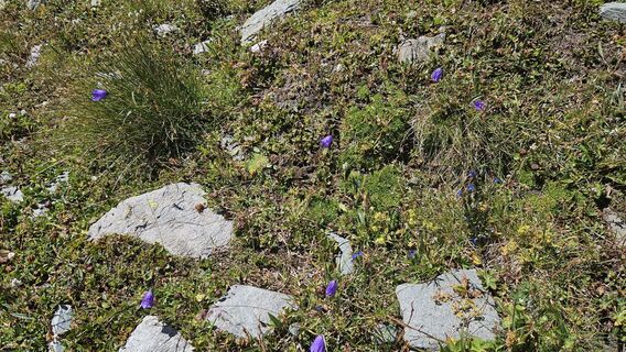 Photo de Robert8992 le long du parcours