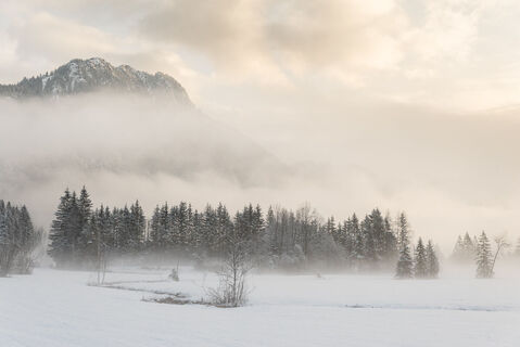 Winterwanderung Weidmoos