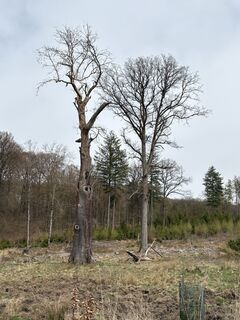 Foto de Stephanie Petri a lo largo del recorrido
