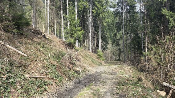 Foto von euterpe42 entlang der Tour