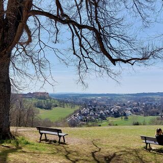 Panoramablick vom Schönenberg