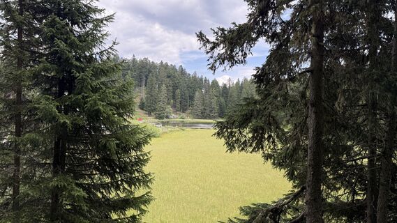 Foto da Daniel Härtel lungo il tour