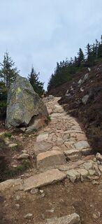 Fotografia z Hallunke Frank na trase