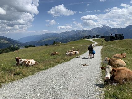 Fotografia z Koen De Wit na trase