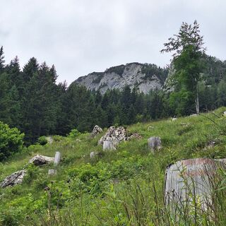 Foto von Michi Moder entlang der Tour
