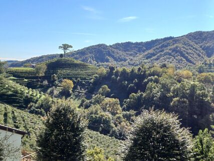 Fotografia z reisi70 na trase