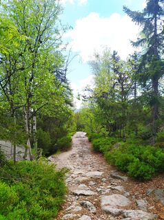 Photo de Petulle22 le long du parcours