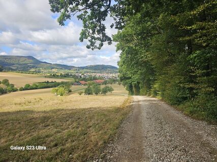 Fotografija s spletne strani Righart Bourne na poti