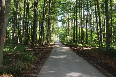 im sogenannten Lusthausweg in Richtung zur B 32