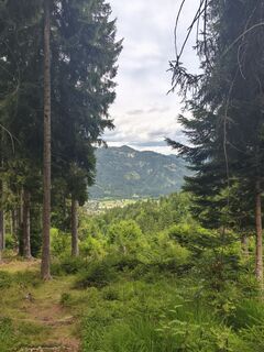 Foto von mjorrocks entlang der Tour