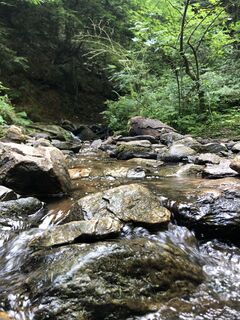 Fotografija s spletne strani Reinhard Frewein na poti