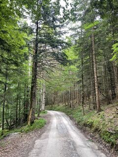 Photo de Martin le long du parcours