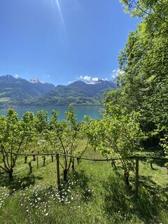 Foto von Mimikeller15 entlang der Tour