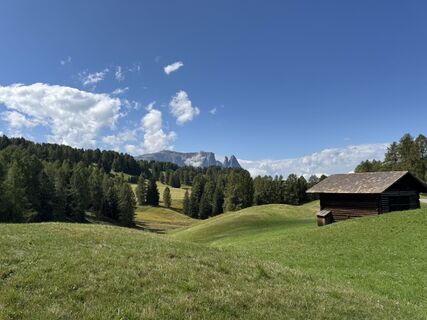 Fotografie de la Simon Porter de-a lungul turului