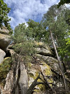 Foto de Daniel Groß a lo largo del recorrido