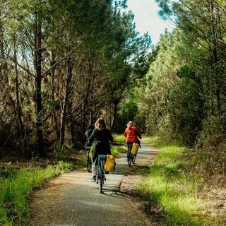 Pistes cyclables littoral© Cloé Tourdot Fuentes, Gironde tourisme