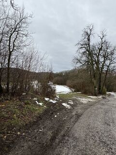 Foto från Geo Etheridge under resans gång