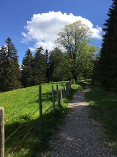 Fotografie z Alfons Hänle na trase