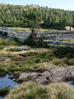 Fotografija s spletne strani SvenScherer7 na poti