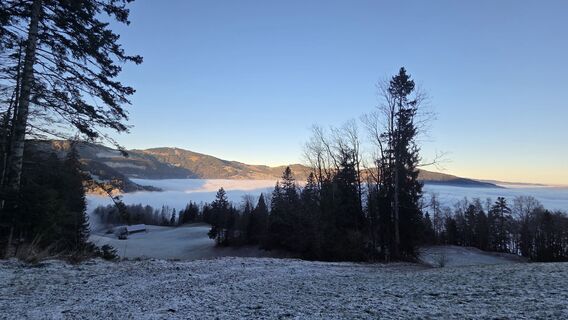 Photo de V Feurstein le long du parcours