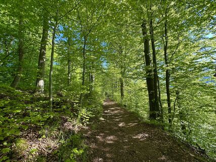 Fotografia z Dani Geiger / Natur_erleben_dg na trase