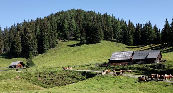 Hölleralm