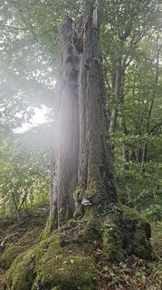 Foto von Boba Weishaar entlang der Tour