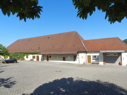 Kelter Hohenhaslach