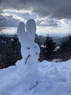 Fotografija s spletne strani Myriam Schaub 1 na poti