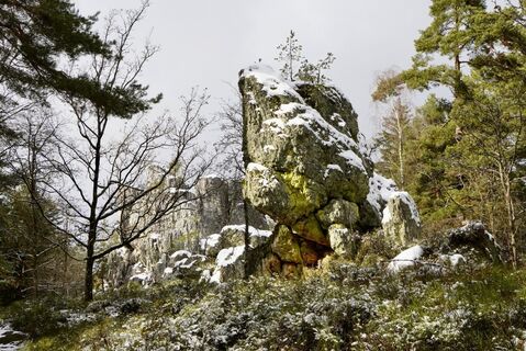 Fotografija s spletne strani Werner na poti