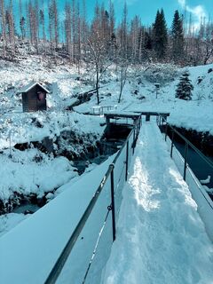 Photo de TallWanderBilly le long du parcours