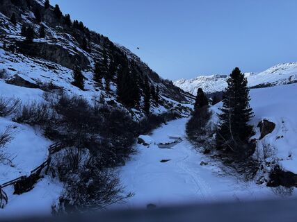 Foto von Paua Bär entlang der Tour