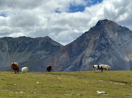 Photo from madr along the tour