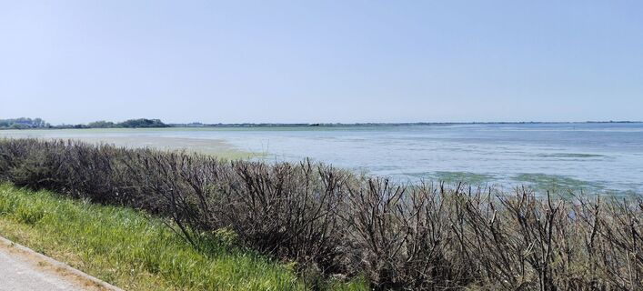 Fotografia z Astrid RETL na trase