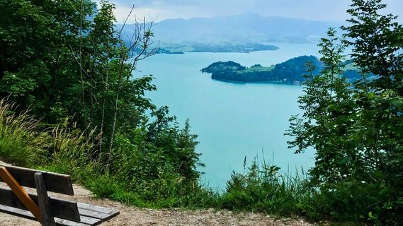 Blick auf den Mondsee