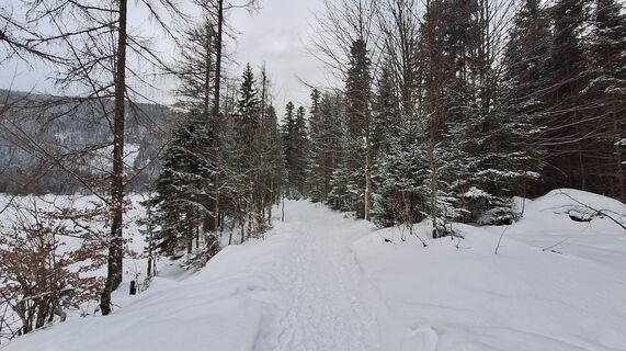 Foto von Regina Fleischmann entlang der Tour