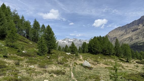Fotografija s spletne strani Marco Giorcelli na poti