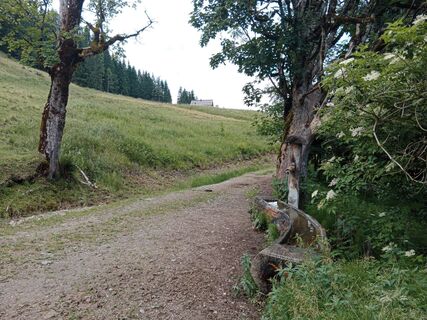 Фото с сайта handshifter во время экскурсии