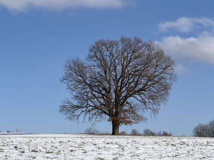 Foto von Anita Maigler entlang der Tour
