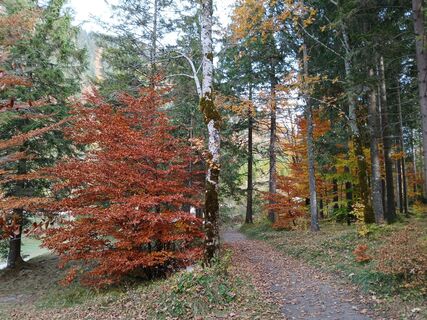 Fotó a Christian Beirer honlapról a túra során