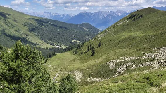 Photo de Cilli Waldhof le long du parcours