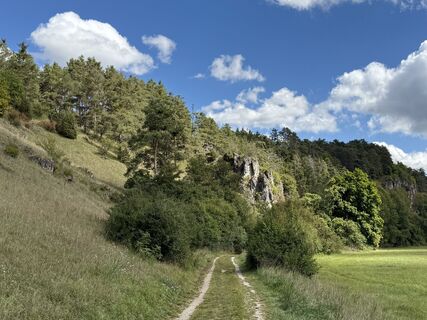 Foto de Norbert Herbig a lo largo del recorrido
