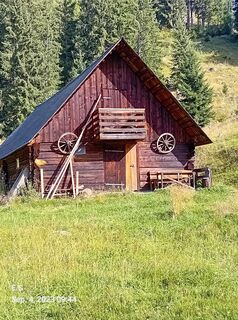Foto von Schabsi entlang der Tour