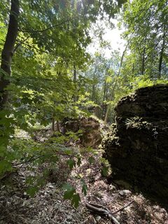 Photo de Hirst Bruskie le long du parcours