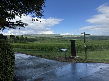 Фото с сайта Florian во время экскурсии