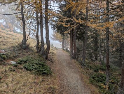 Foto von Leif entlang der Tour