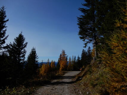 Altenbergsteig - Heukuppe