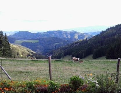 Gasthaus_Kapitel_Ausblick