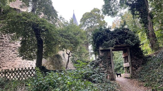 Foto von Lis Malzach entlang der Tour