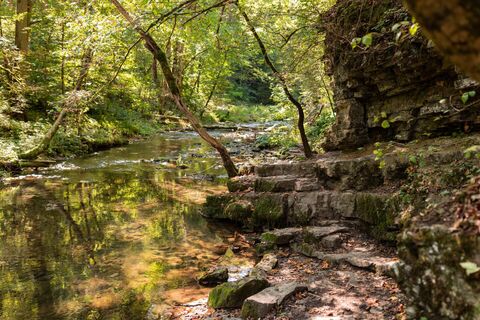 Fluss Gauchach in der Gauchachschlucht